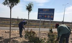 OPET slip yerine fidan ekiyor