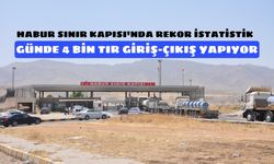 Habur'da TIR giriş-çıkışlarında tarihi rekor