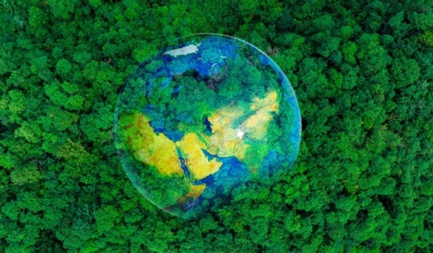 Lima Hatıra Ormanı projesiyle doğaya kalıcı bir değer bırakmayı hedefliyor