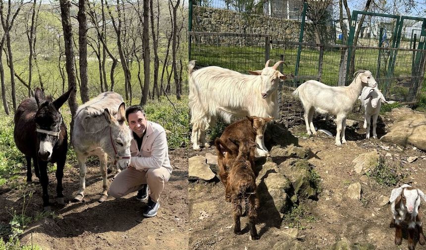 Ekol Lojistik 9 milyon Can Dostu'na ulaştı