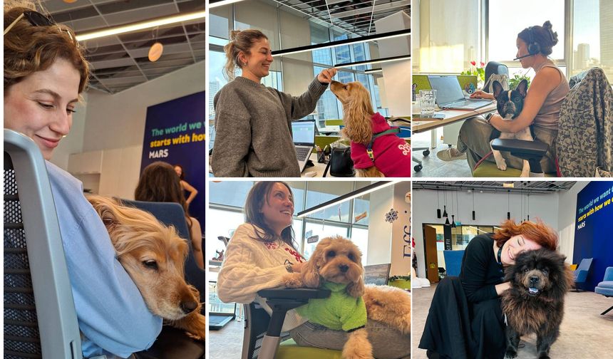 Mars Türkiye’den köpeğini işe götür haftası çağrısı: